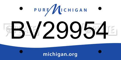 BV29954 Michigan License Plate