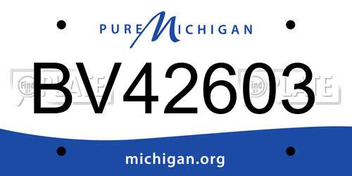 BV42603 Michigan License Plate