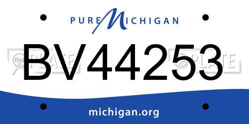 BV44253 Michigan License Plate