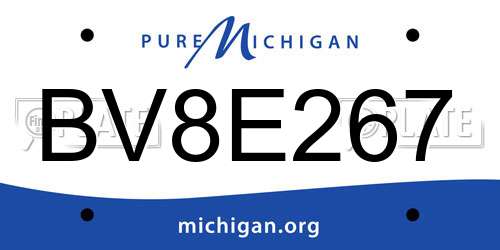BV8E267 Michigan License Plate