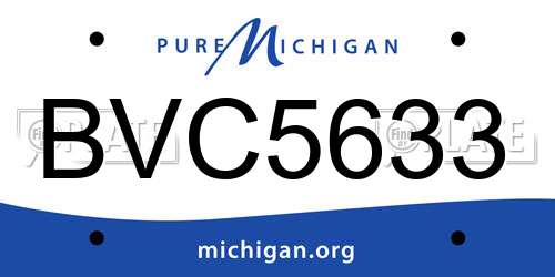 BVC5633 Michigan License Plate