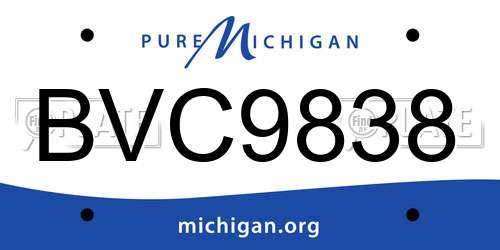 BVC9838 Michigan License Plate