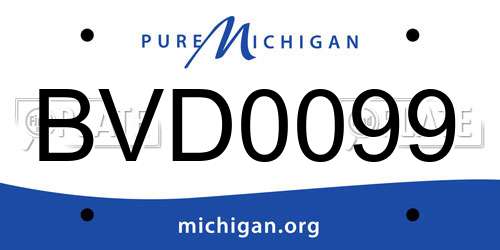 BVD0099 Michigan License Plate