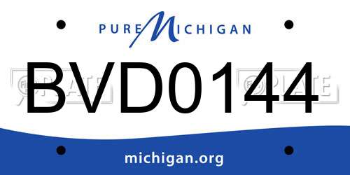 BVD0144 Michigan License Plate