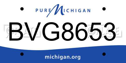 BVG8653 Michigan License Plate
