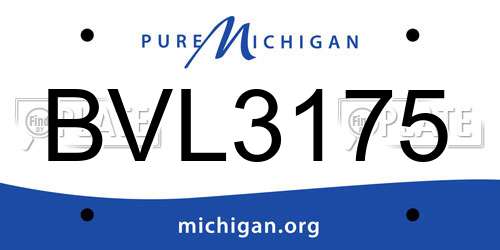 BVL3175 Michigan License Plate