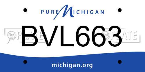 BVL663 Michigan License Plate