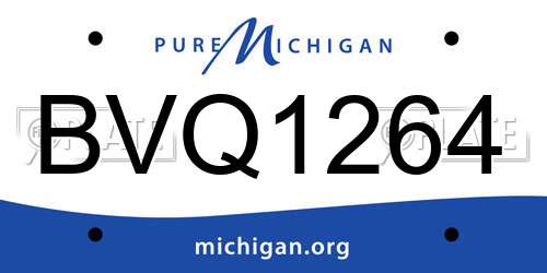 BVQ1264 Michigan License Plate