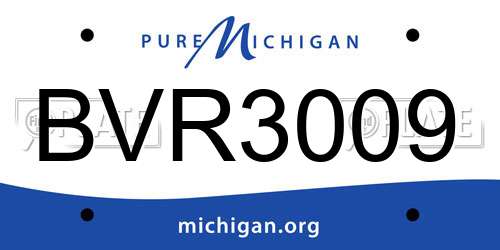 BVR3009 Michigan License Plate