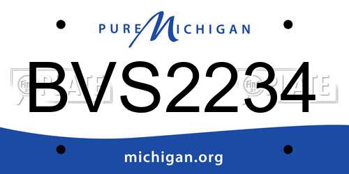 BVS2234 Michigan License Plate