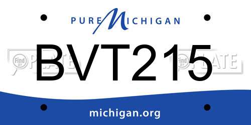 BVT215 Michigan License Plate
