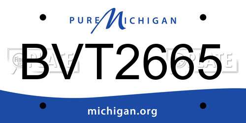 BVT2665 Michigan License Plate