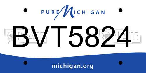 BVT5824 Michigan License Plate