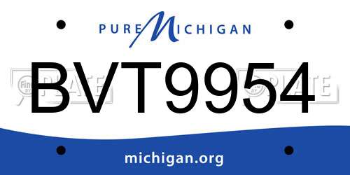 BVT9954 Michigan License Plate