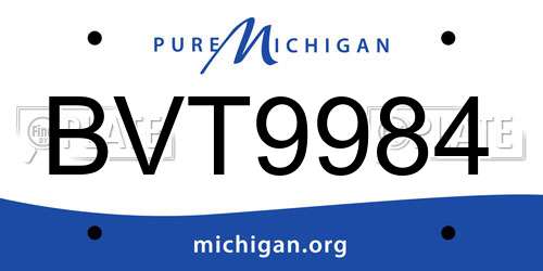 BVT9984 Michigan License Plate