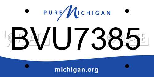 BVU7385 Michigan License Plate