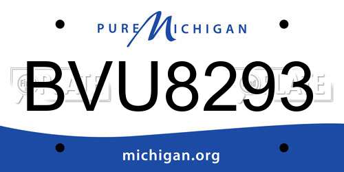 BVU8293 Michigan License Plate