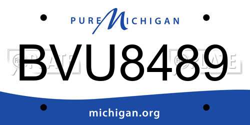 BVU8489 Michigan License Plate