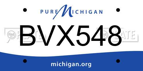 BVX548 Michigan License Plate