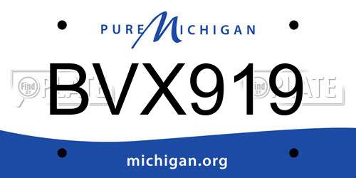 BVX919 Michigan License Plate