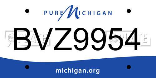 BVZ9954 Michigan License Plate