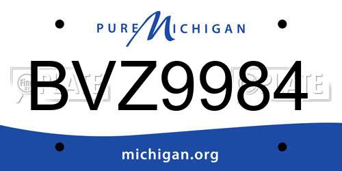 BVZ9984 Michigan License Plate