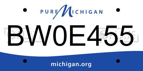 BW0E455 Michigan License Plate