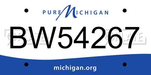 BW54267 Michigan License Plate