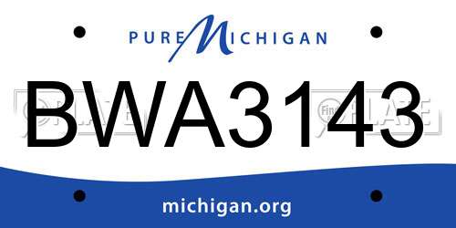 BWA3143 Michigan License Plate
