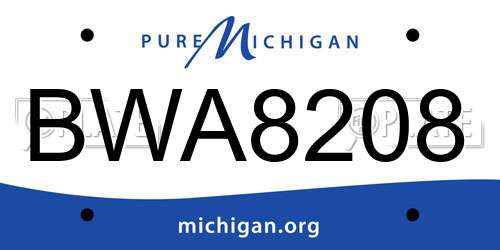 BWA8208 Michigan License Plate