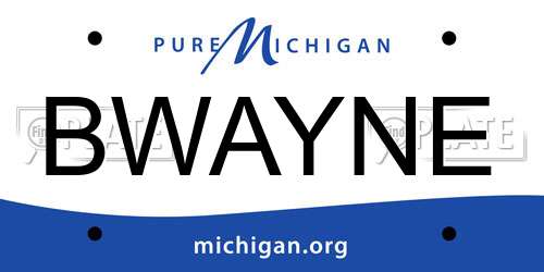 BWAYNE Michigan License Plate
