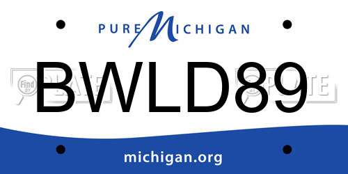 BWLD89 Michigan License Plate
