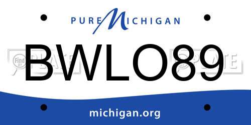 BWLO89 Michigan License Plate