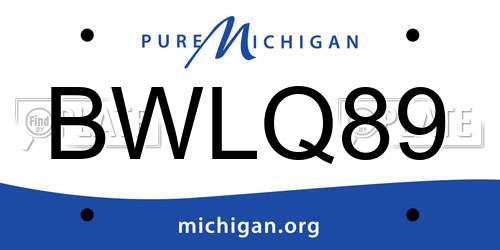 BWLQ89 Michigan License Plate