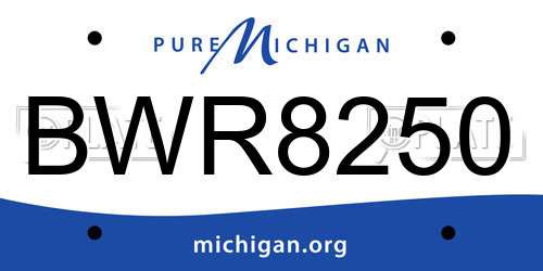 BWR8250 Michigan License Plate