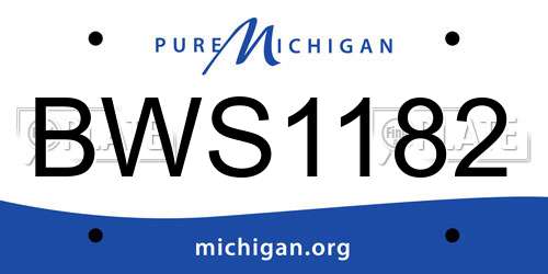 BWS1182 Michigan License Plate
