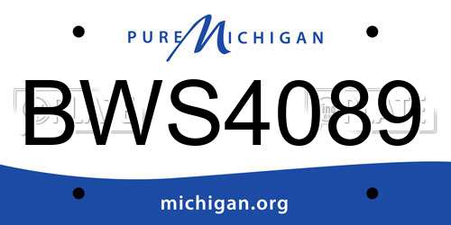 BWS4089 Michigan License Plate