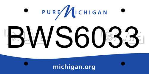 BWS6033 Michigan License Plate
