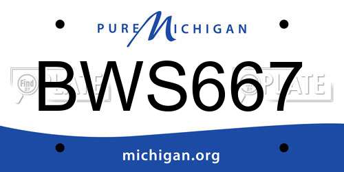 BWS667 Michigan License Plate