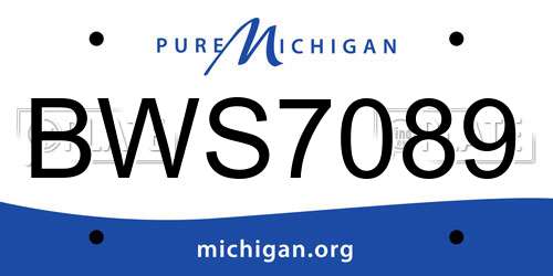 BWS7089 Michigan License Plate