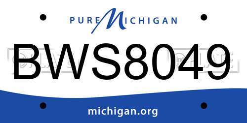 BWS8049 Michigan License Plate
