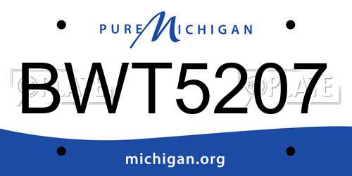 BWT5207 Michigan License Plate