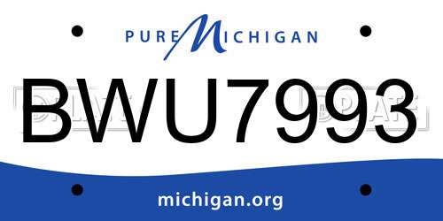 BWU7993 Michigan License Plate
