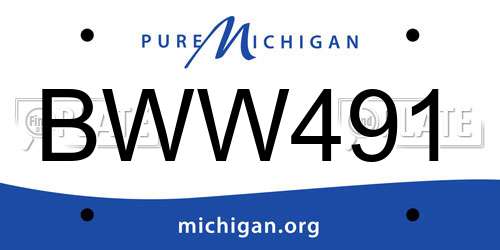 BWW491 Michigan License Plate