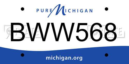 BWW568 Michigan License Plate