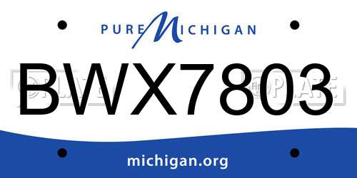 BWX7803 Michigan License Plate
