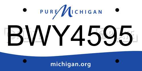 BWY4595 Michigan License Plate