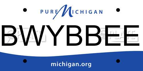 BWYBBEE Michigan License Plate