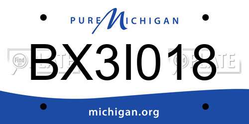 BX3I018 Michigan License Plate