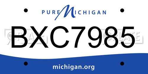 BXC7985 Michigan License Plate